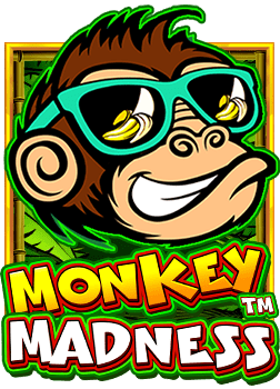 รีวิวสล็อต xo16881: เกมน่าเล่นจาก NetEnt ที่ต้องลอง